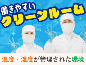 いちごの検品・パック詰め／座ってライン作業／早朝シフト