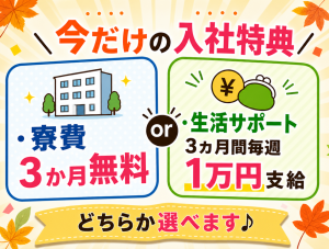 食品工場での袋詰め・包装作業／日勤／寮完備